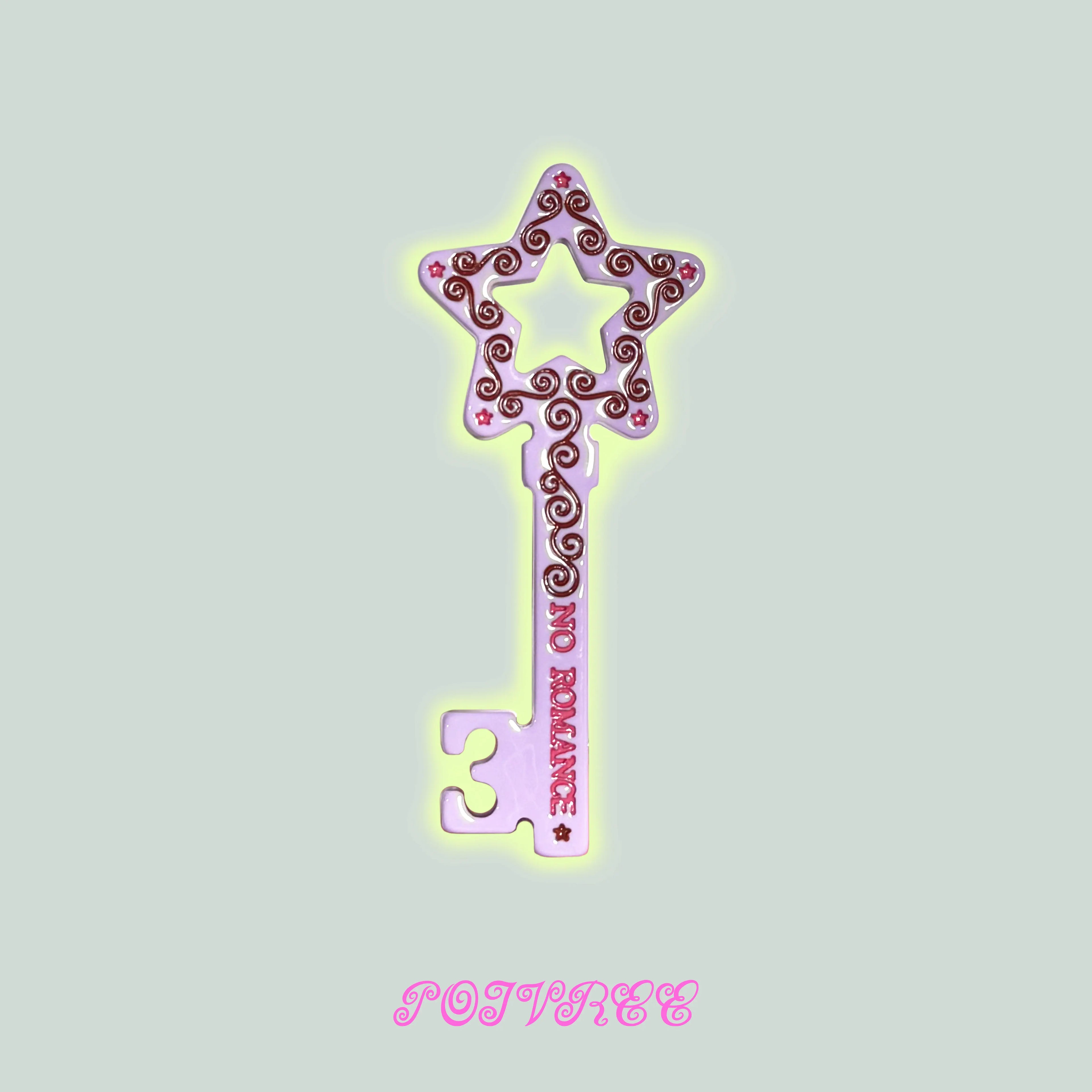 POIVREE | Star Key Hair Clip