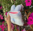 ThePuri Village | Rututu Pouch (Single Color)