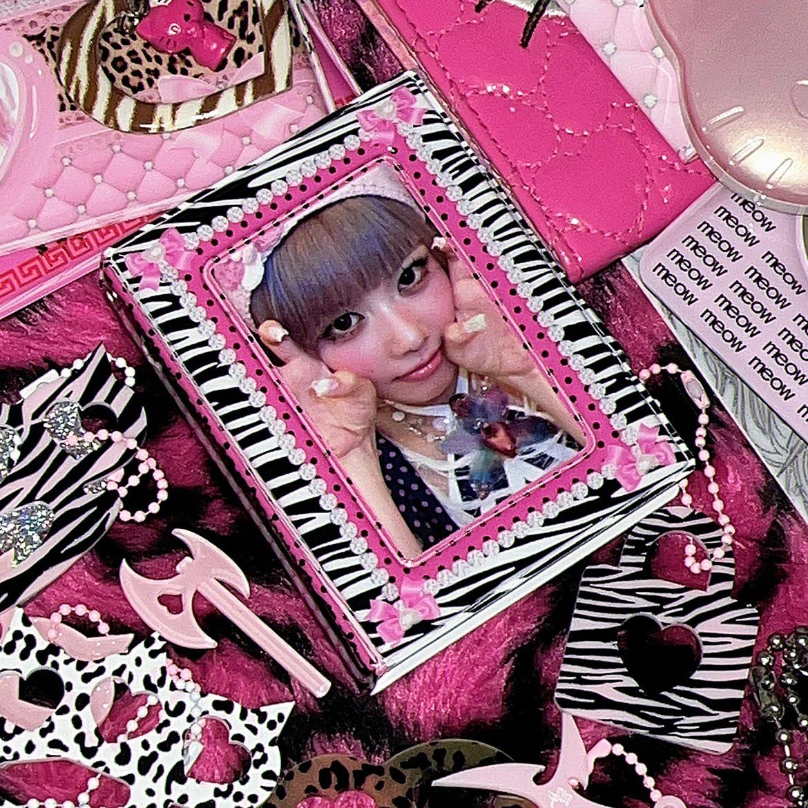 Y2K Gal Zebra Pattern Binder